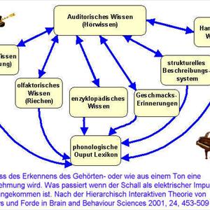 Pulsatile Tinnitus Causes - Causes For Constant Ringing In Ears